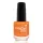 Βερνίκι νυχιών Creative Play Hold On Bright #495 - www.creativegroup.gr