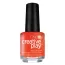 CND Creative Play Orange You Curious #421