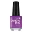 CND Creative Play - Orchid You Not #480